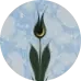 Ebru (1)